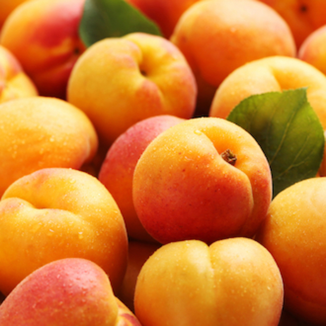 Apricot kernel oil image 0